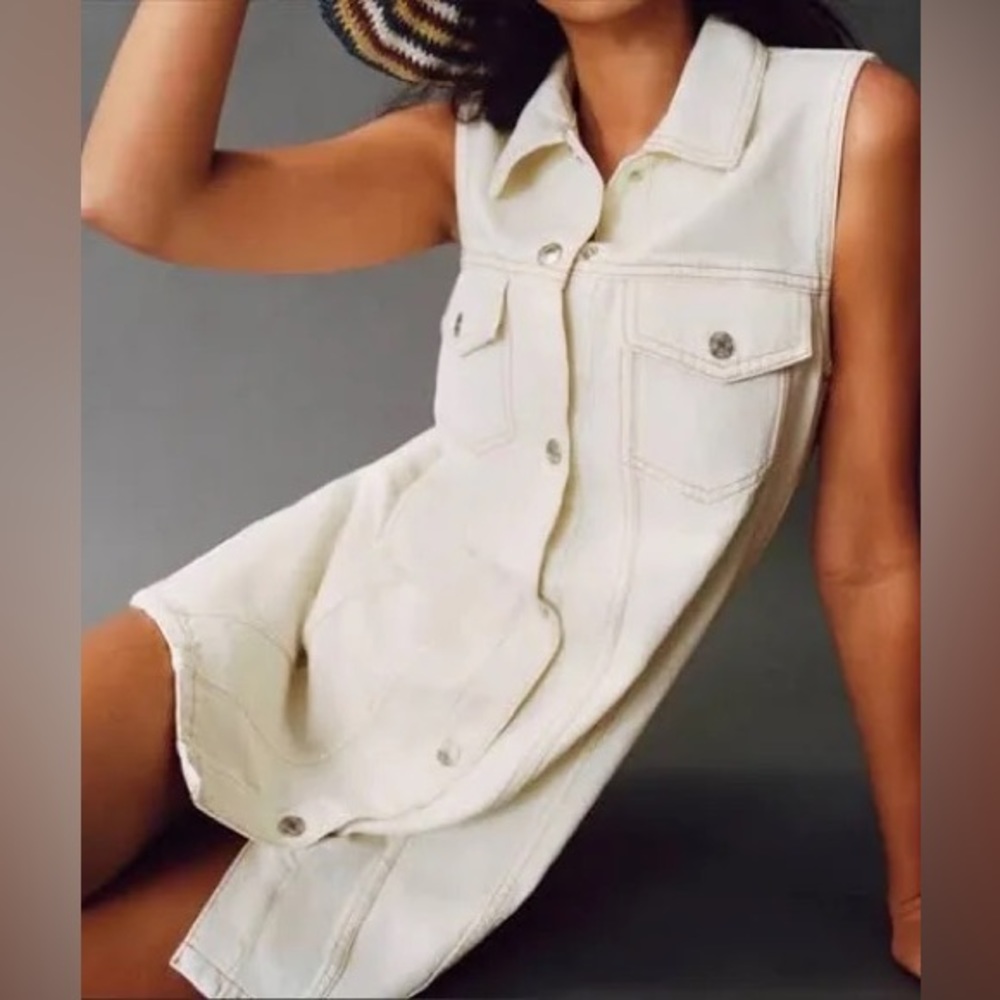 Zara Denim Dress